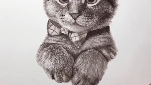 Freehand Drawing #Cute Cat #Pencil Drawing