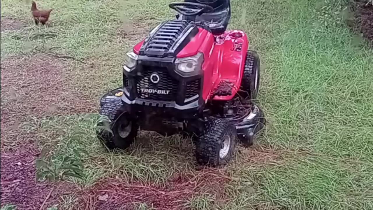 She Thinks My Lawnmowers Sexy