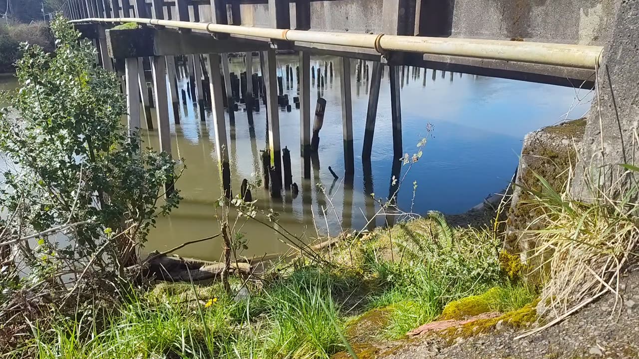Kurt Cobain Memorial Bridge