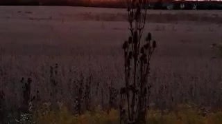 Illinois Prairie Sunset