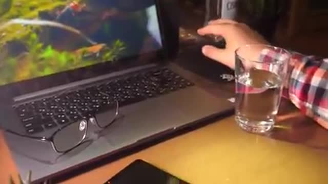 Your worst nightmare ever...