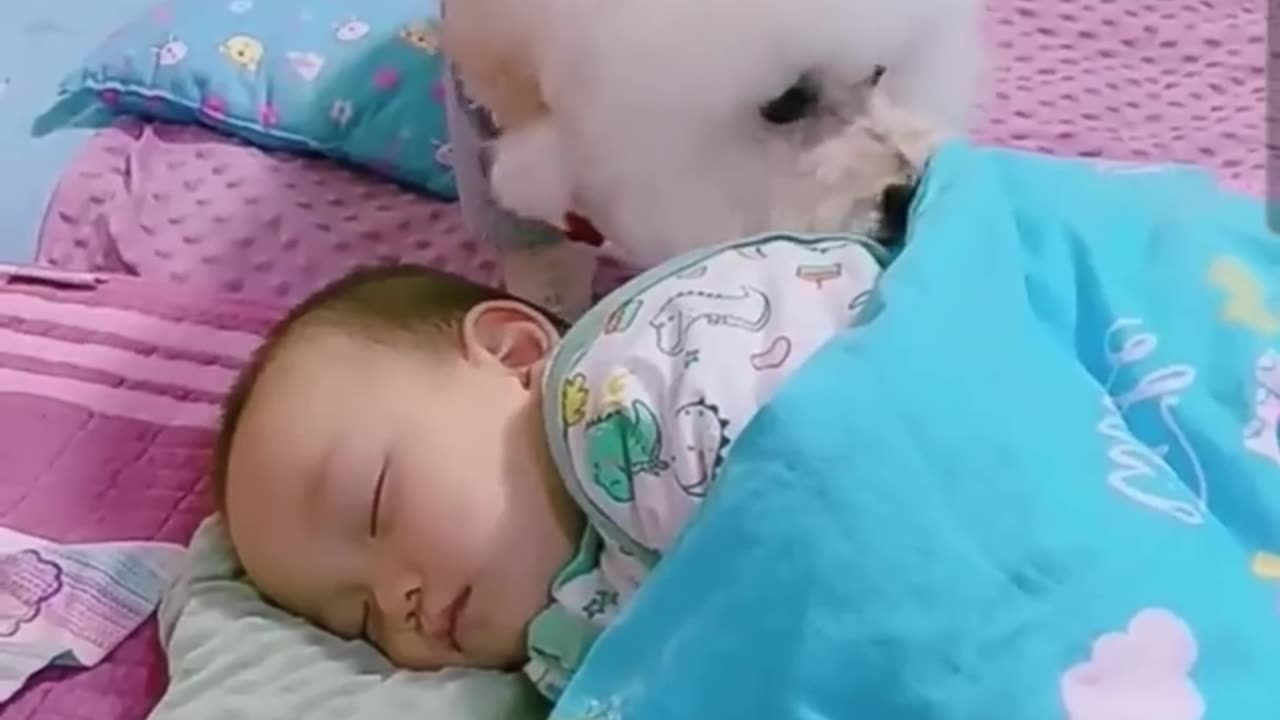 🐕🐕❤️❤️Most heartwarming & touching~ Cute Dog Takes Care Of Cute Baby😘😘