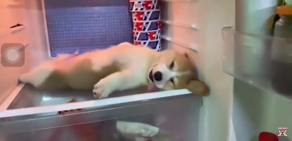 It's cooler in here, not out