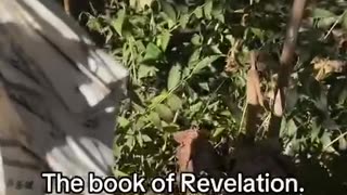 Bible found in the rubble of Hurricane Helene in North Carolina, stuck to a post.