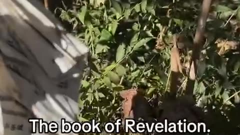 Bible found in the rubble of Hurricane Helene in North Carolina, stuck to a post.