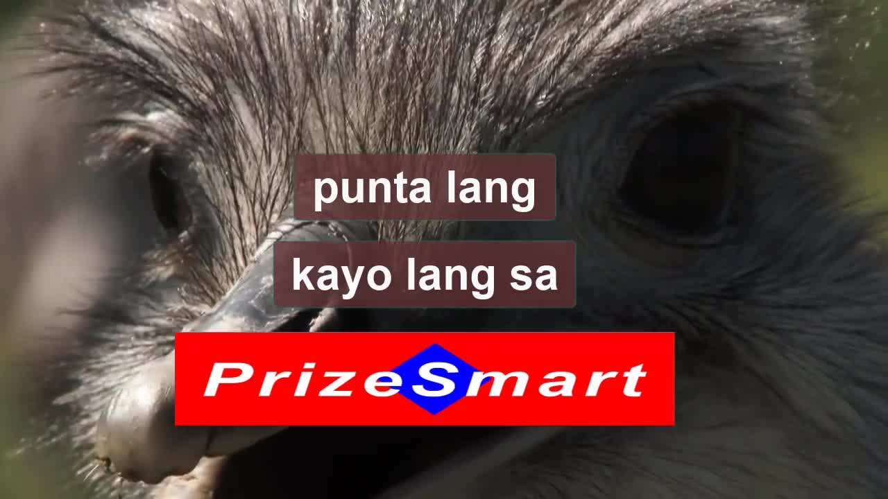 UBOS NA ANG BUDGET? OUT OF BUDGET?