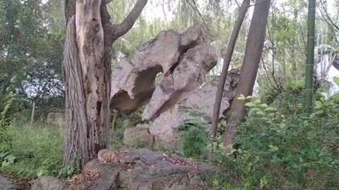 Artificially carved rockery.