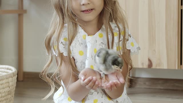 a-cute-girl-holding-a-chick-