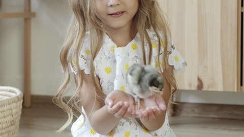 a-cute-girl-holding-a-chick-