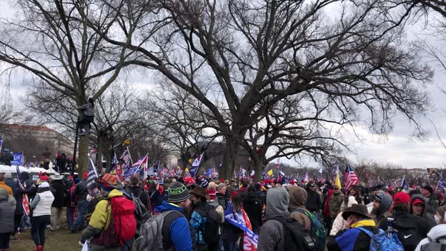 1/6/21 Pres T Dismissed Crowd 2