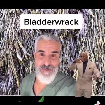 BURDOCK ROOT, SEA MOSS WILDCRAFTED, MORINGA LEAVES, ETC...