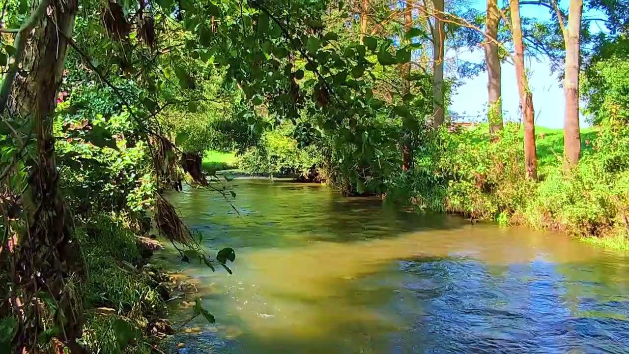 Ensemble Hesperi - The Poppy