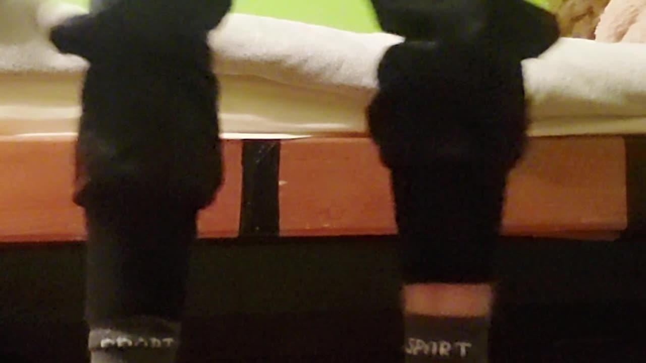 100 squats for copy reviev