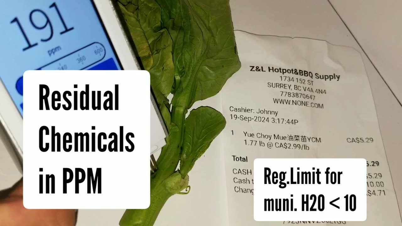 Yue Choy veggie Instrumented for Residual Chemical