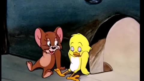 Tom and Jerry classic cartoon #tom and Jerry i