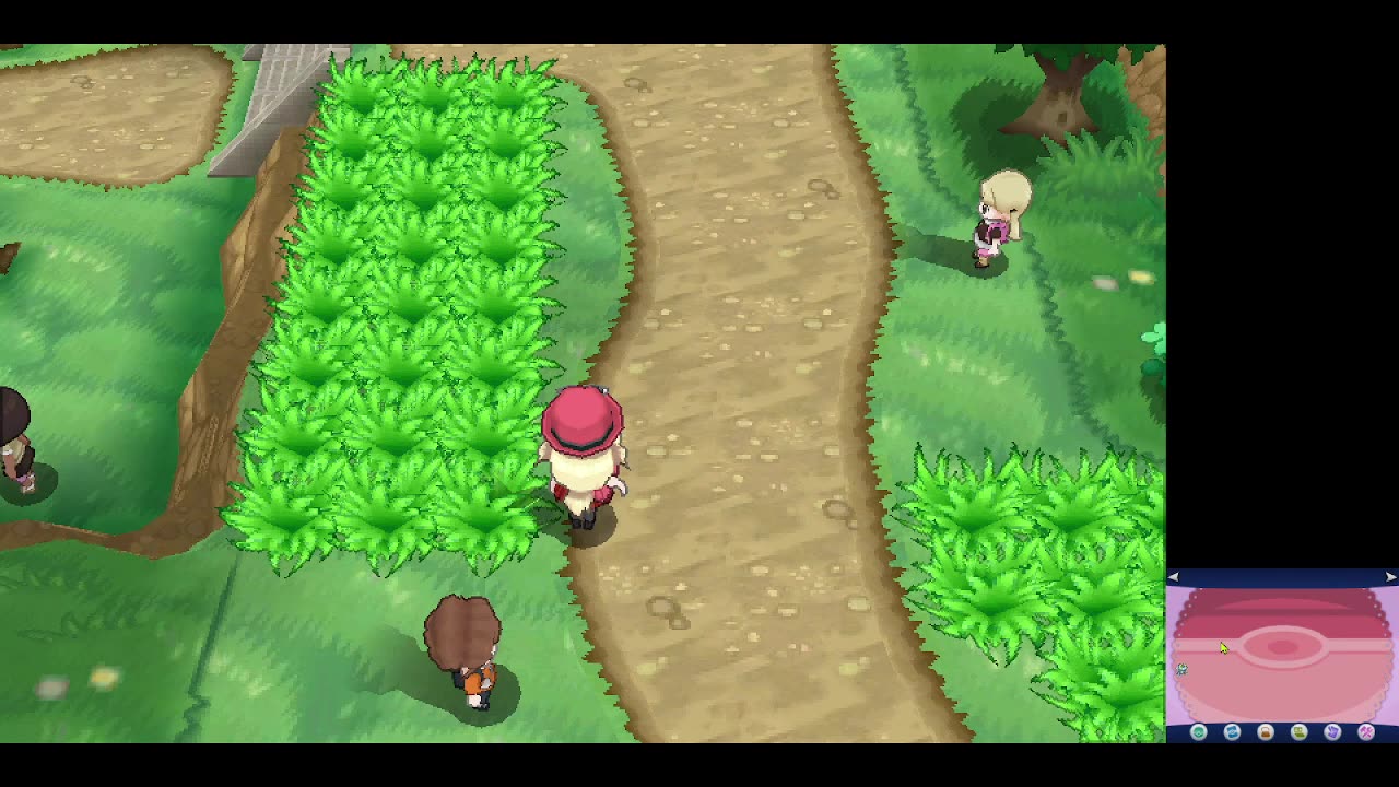 Jugando Pokemon Y #2 explorando el bosque