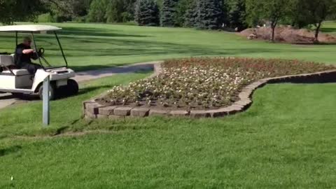 Golf Cart Jumps Over Flower Bed