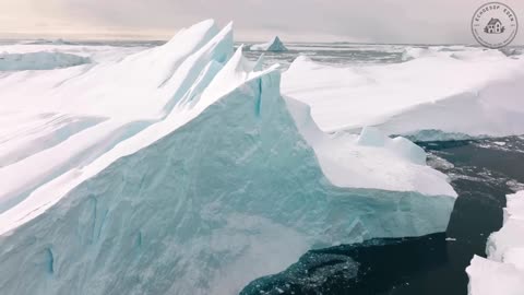 Serene Earth: Breathe Easy with Nature’s Vibes