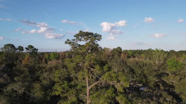 HEAVEN ON EARTH. Parramore's Campground, Florida.