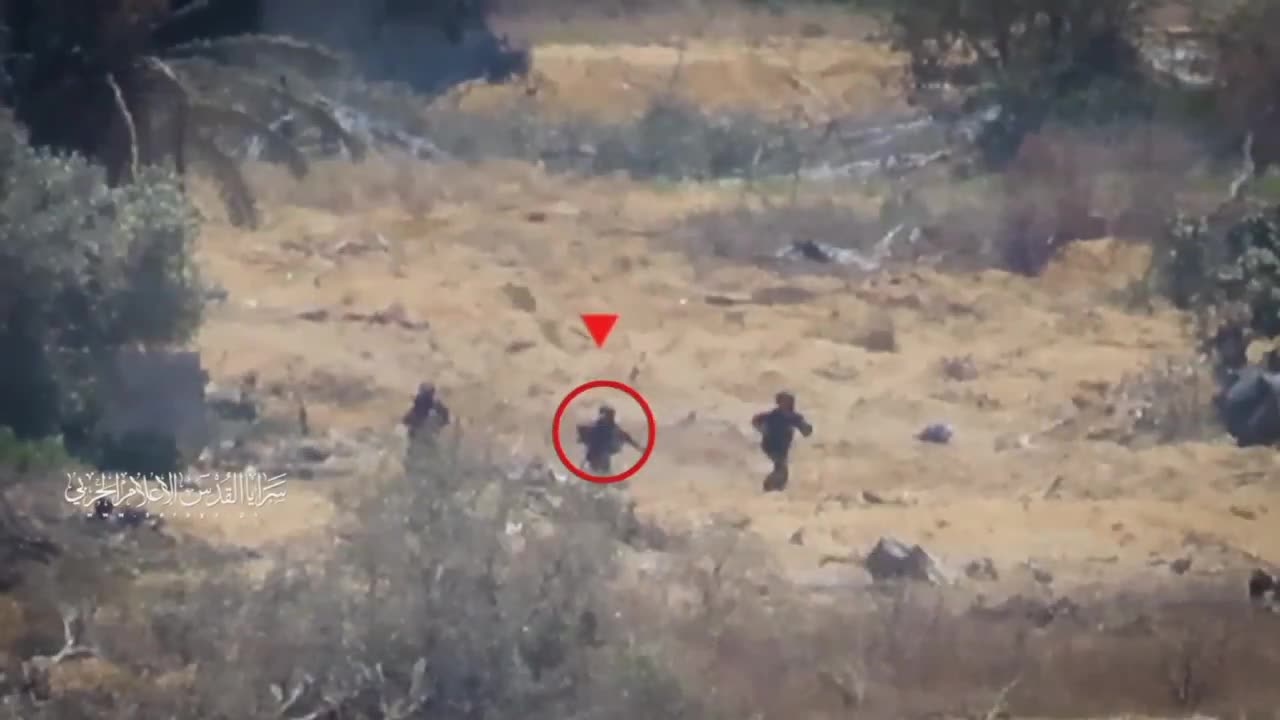 how dogs being eliminated from Land of GAZA, a view of Snipper