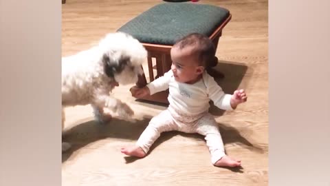 Best video for cute baby wit pet animal.