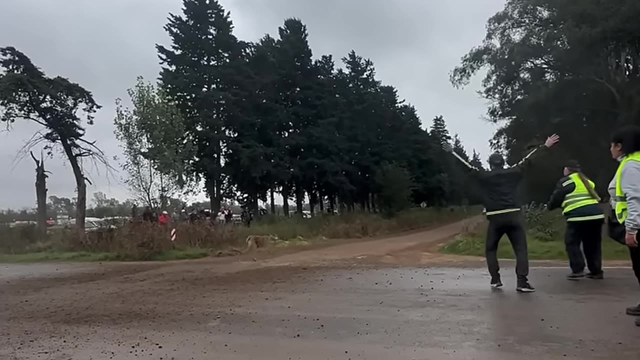 Un poco de suerte la del sr perro 😮 - Rally Santafesino