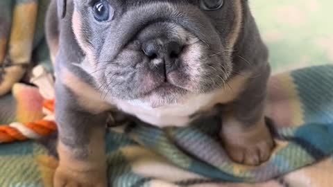 He Hates Mondays!!!