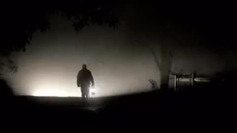 Trunks do Futuro - O casamento moderno é um grande circo