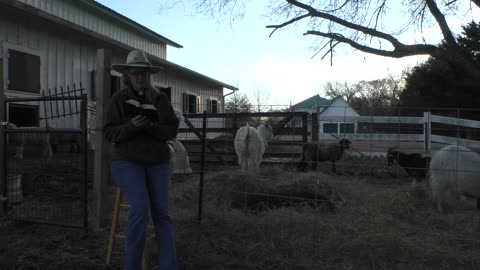 Morning Prayer, Rite II