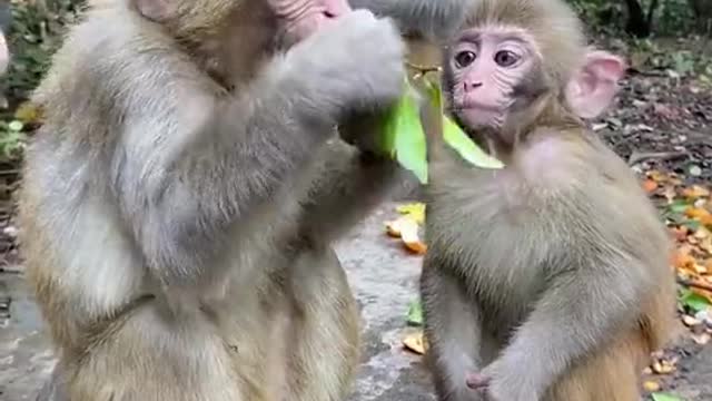 Don't take my food from me