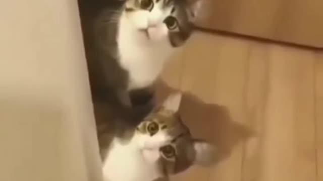 Wait for End!!!