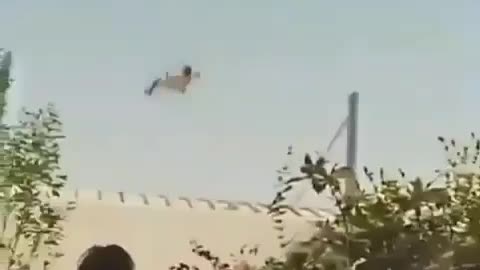 🤣 funny moments