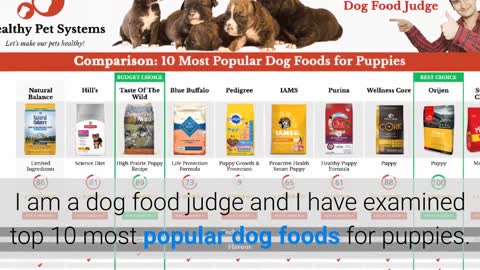 Top Etiqueta :10 Most Popular Dog Foods For Puppies Reviewed By Dog Food Judge 🏆