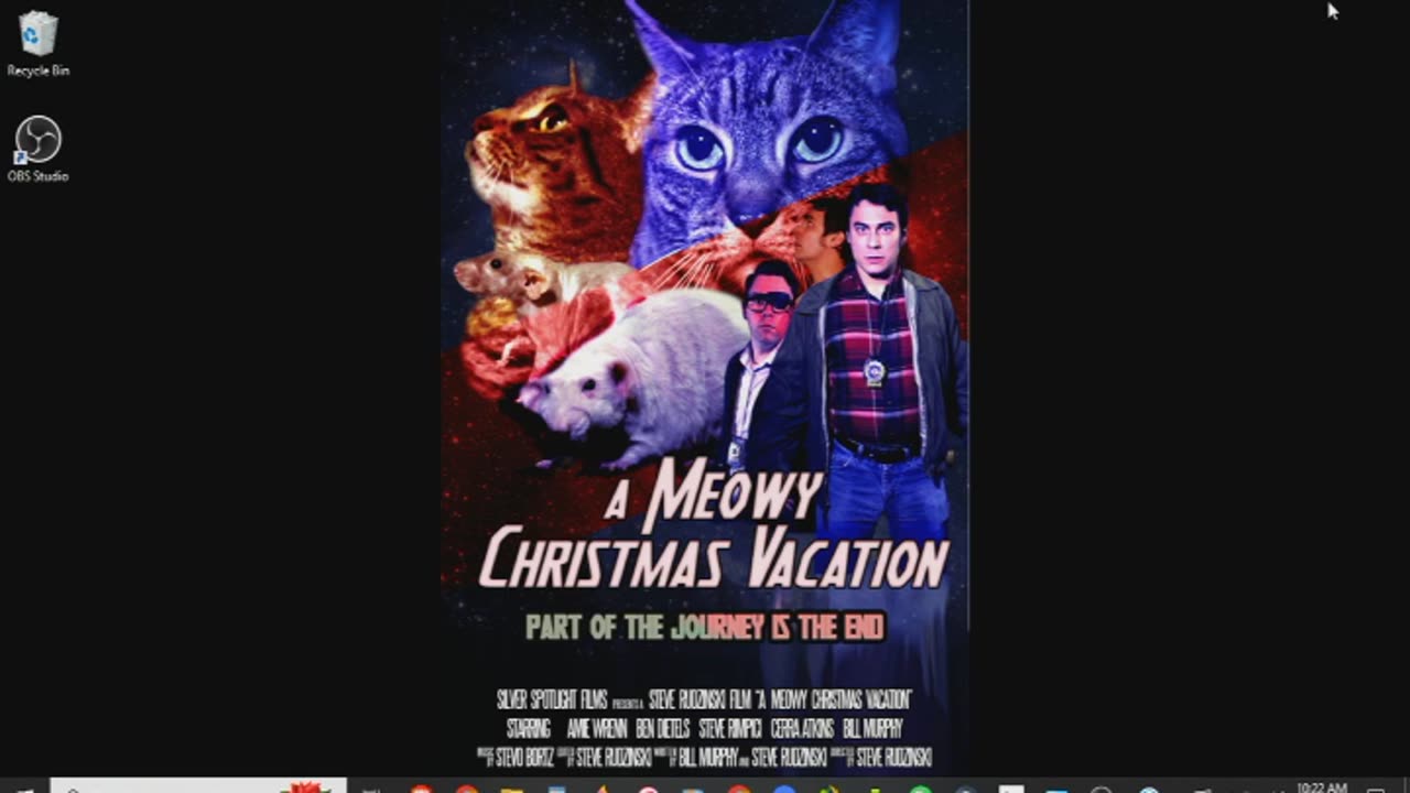 A Meowy Christmas Vacation Review