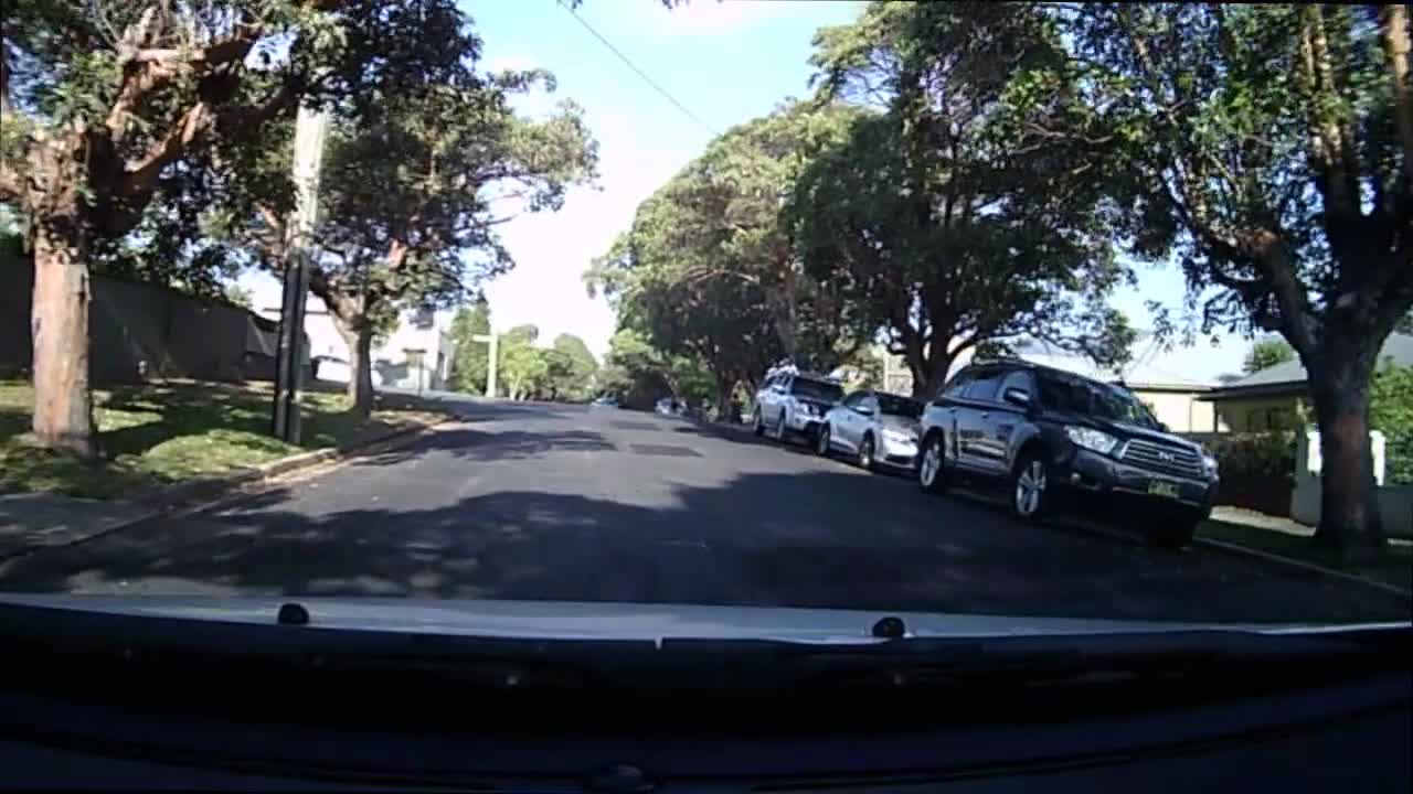 Trick or Treaters Cross Road in Front of Car