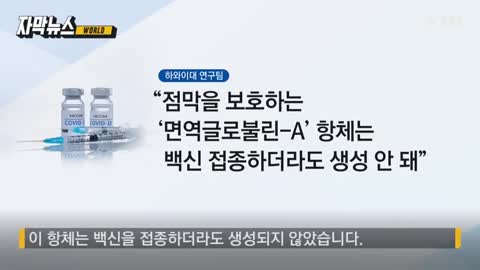 20210202_[펌] [YTN] [자막뉴스] "코로나19 회복자, 백신 접종자보다..." 의외의 연구 결과 / YTN