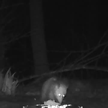 EA S104 - Nothing Like Cold Bread