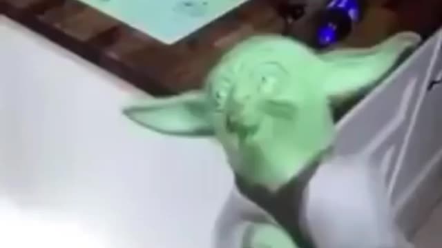 Poor yoda