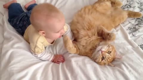 Beautiful moment cat