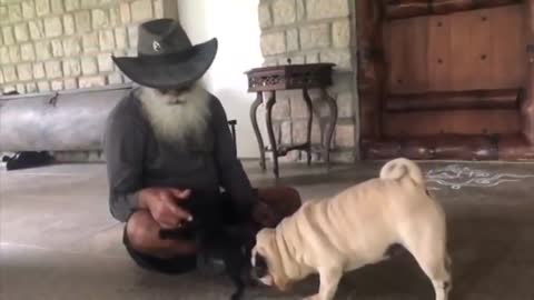 Dog training