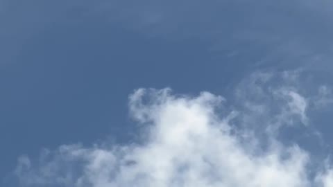 30 April 2022 more chem Spraying NSW Australia