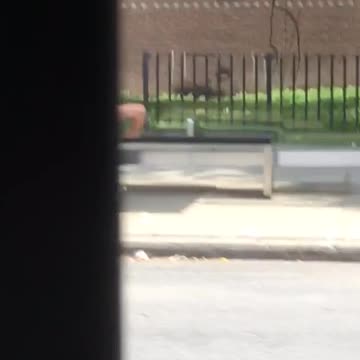 Man in blue shorts push ups at bus stop