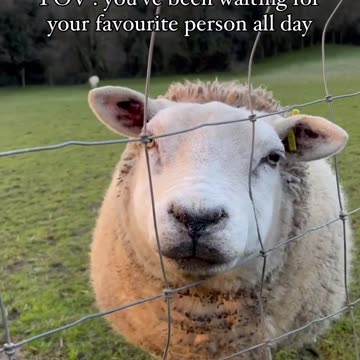 Love is in the air 🤣😍