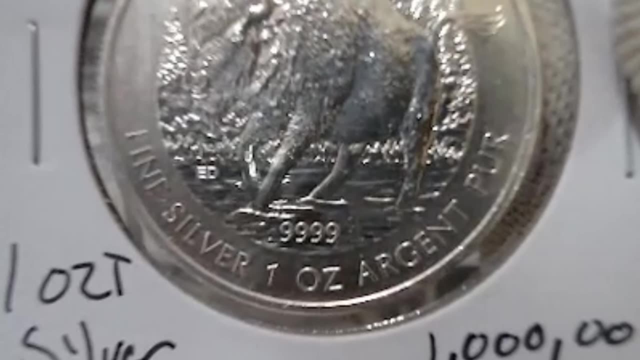 2013 Canada $5 Wood Bison Silver Commemorative Coin