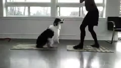 Workout with dog