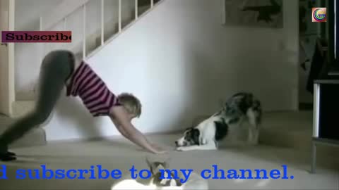 I have shown you the exercise of a dog and its owner in different ways.