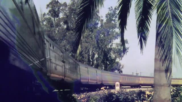 "Have you anything to declare?"