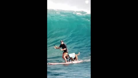 Surf the wave!