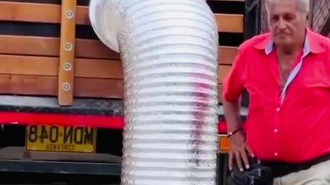 Funny video