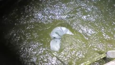 Yukkk would you do this job!!